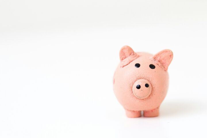 a small pink pig